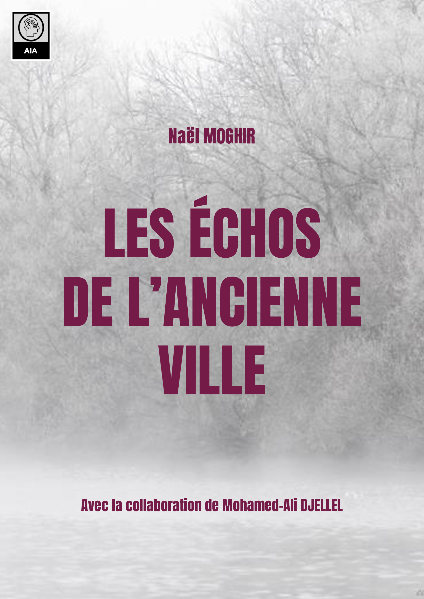 Couverture Livre